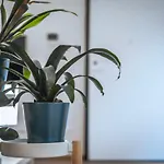 Apartmán Jlh Aparts - Just Like *